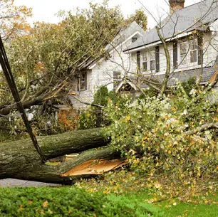 Storm Damage Restoration