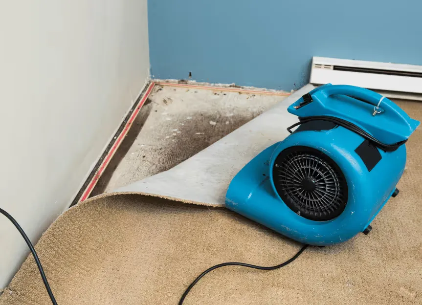 Water Damage Restoration